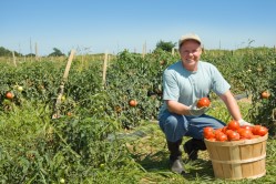 Dittmer & Company, P.C. - Chester County CPA